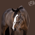 Horse Hunter Jumper Halter 3